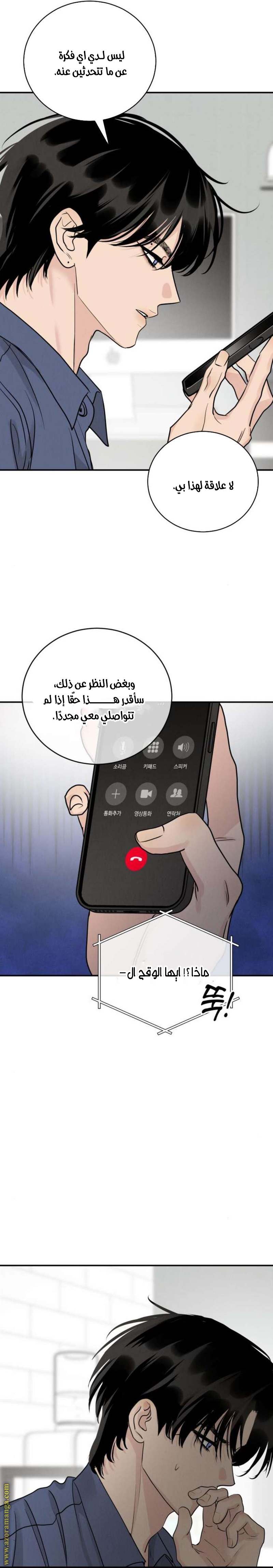 الصفحة 20
