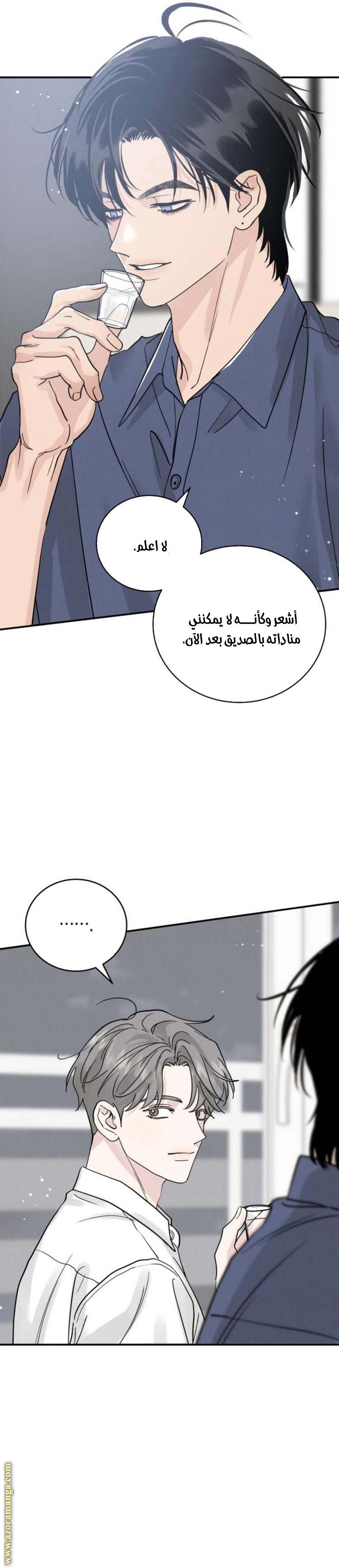 الصفحة 25