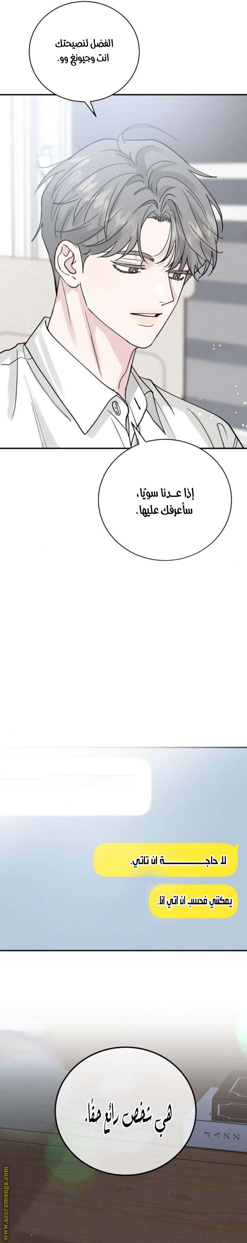 الصفحة 29