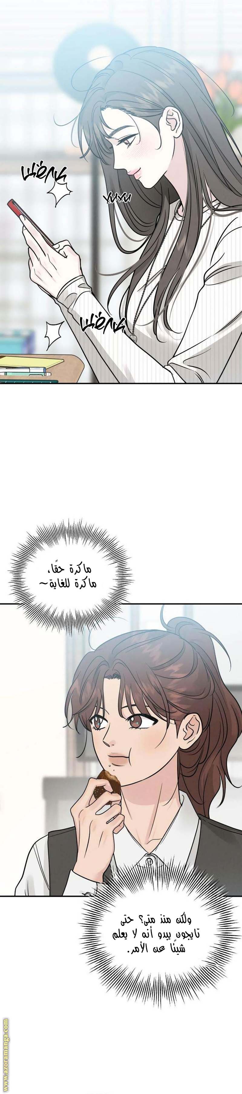 الصفحة 25