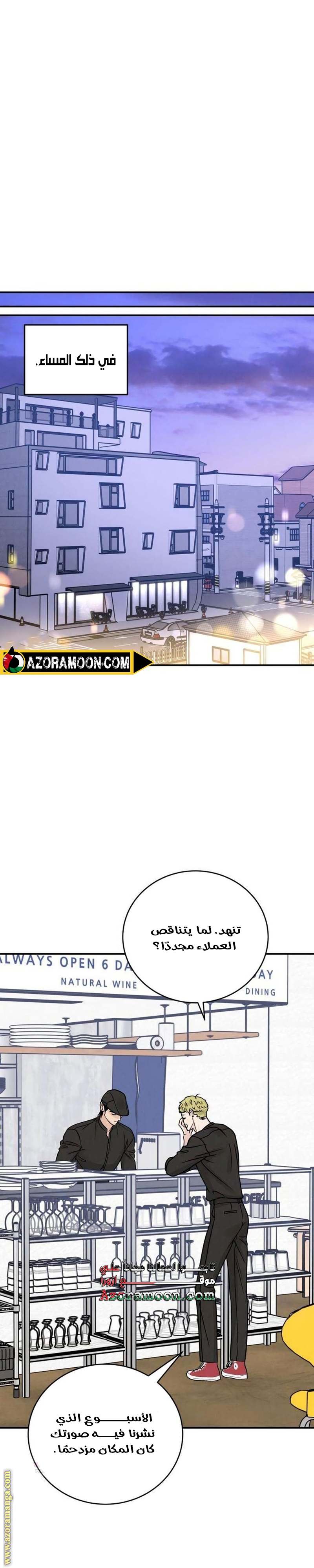 الصفحة 29
