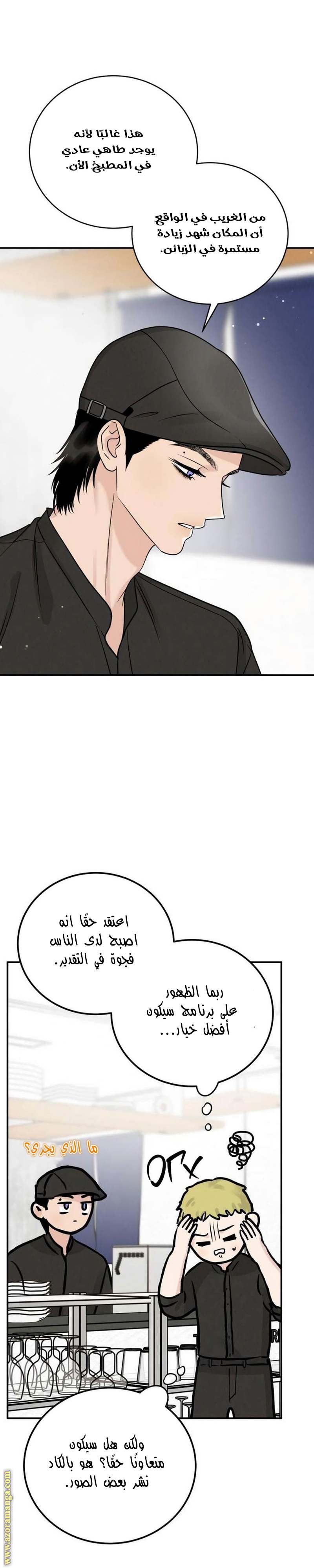 الصفحة 30