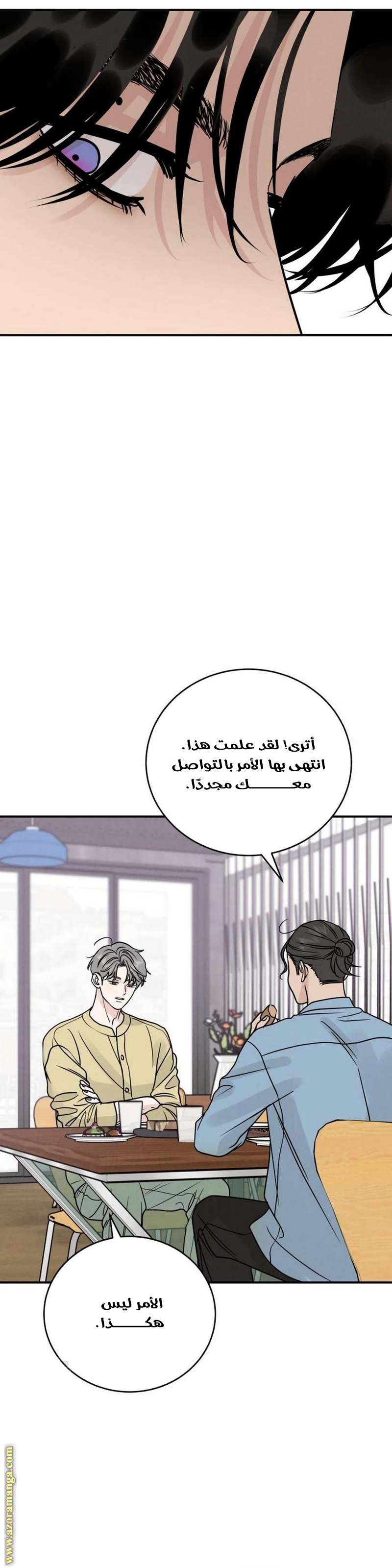 الصفحة 42