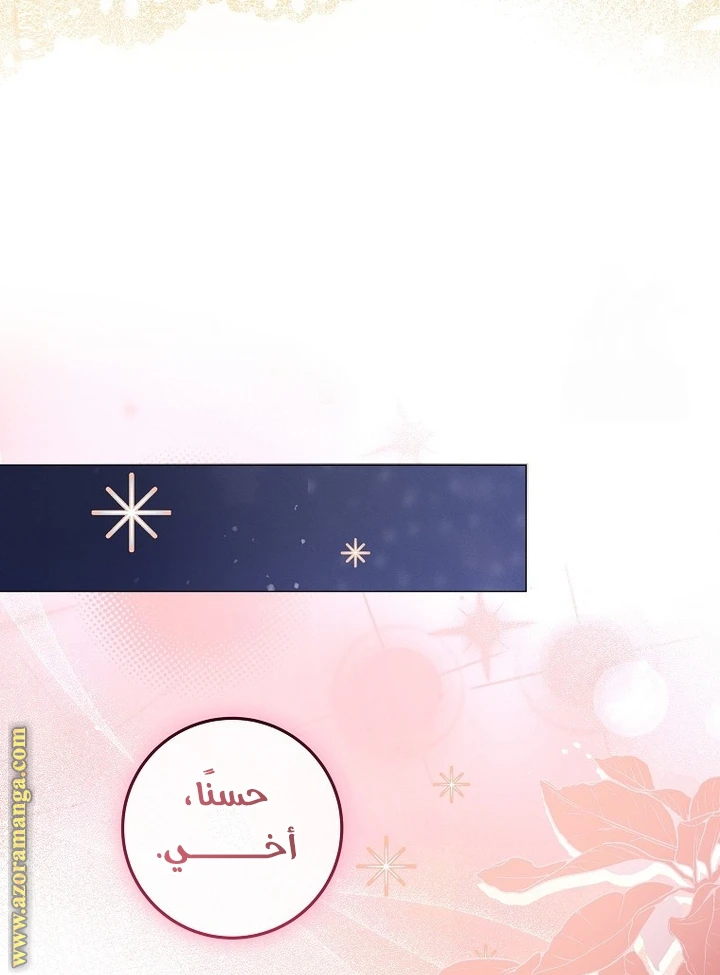 الصفحة 24