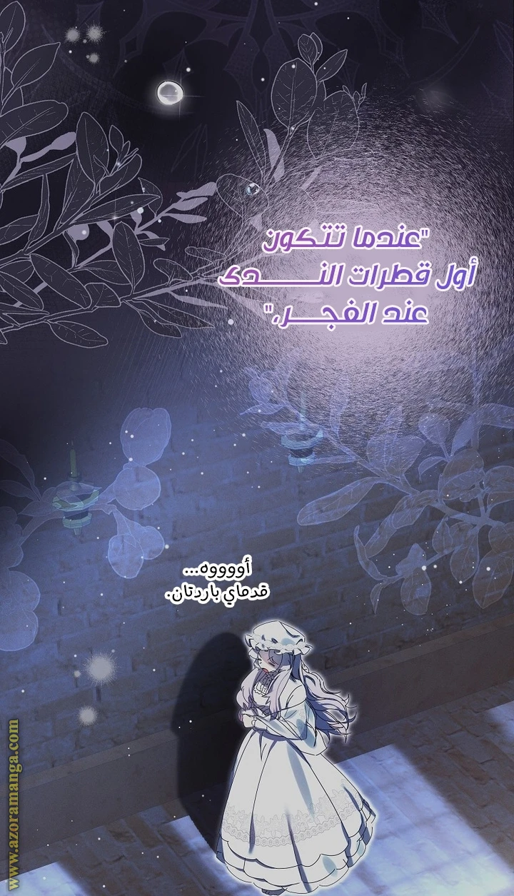 الصفحة 45