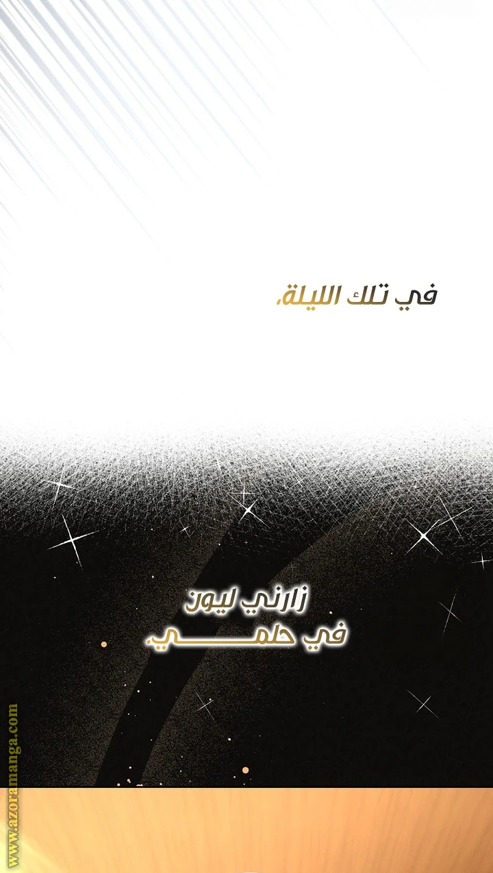 الصفحة 24