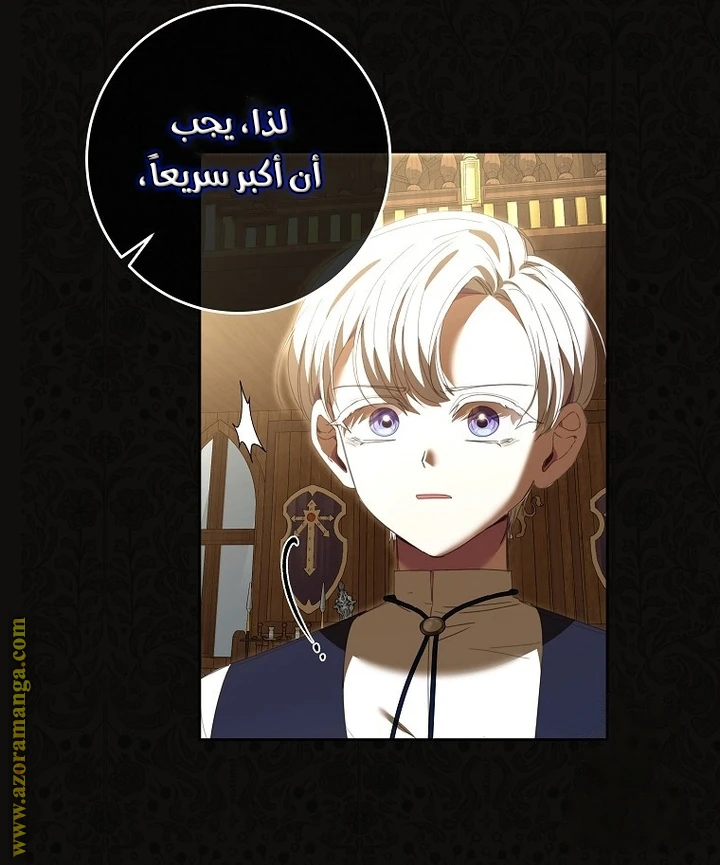 الصفحة 43