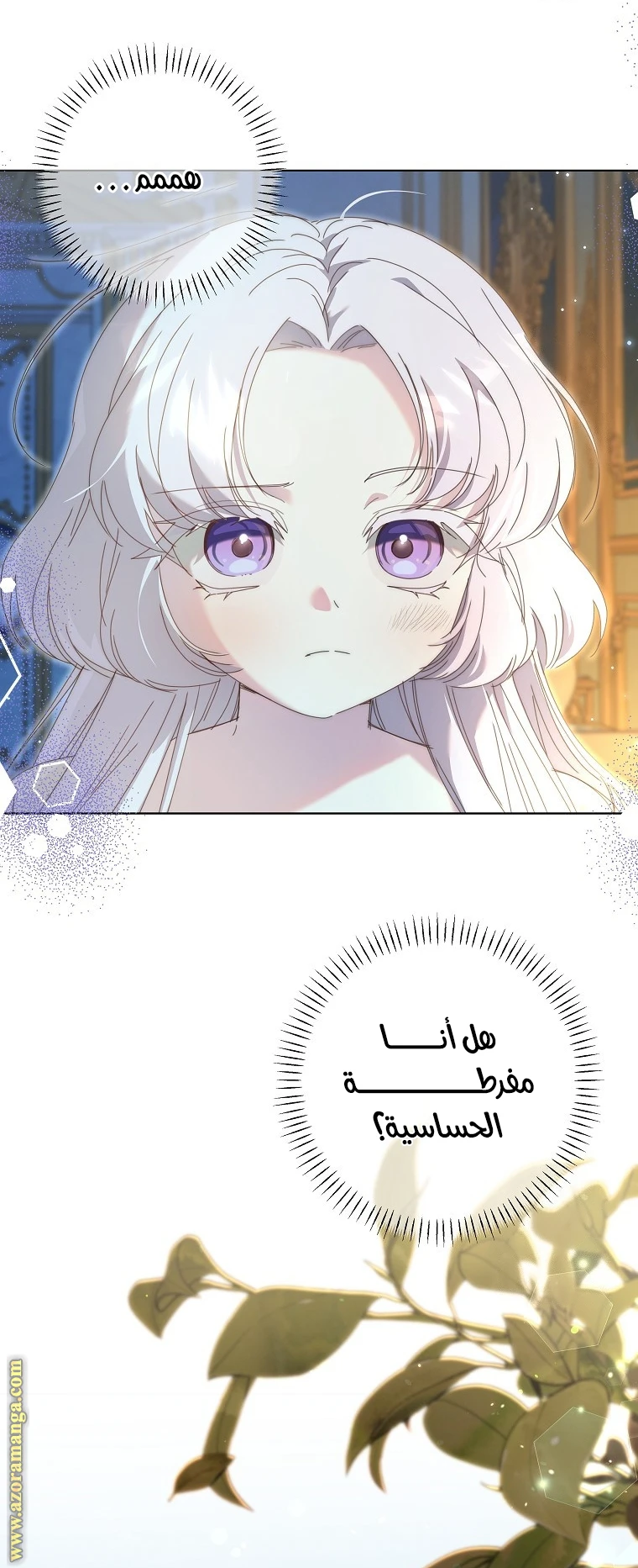 الصفحة 17