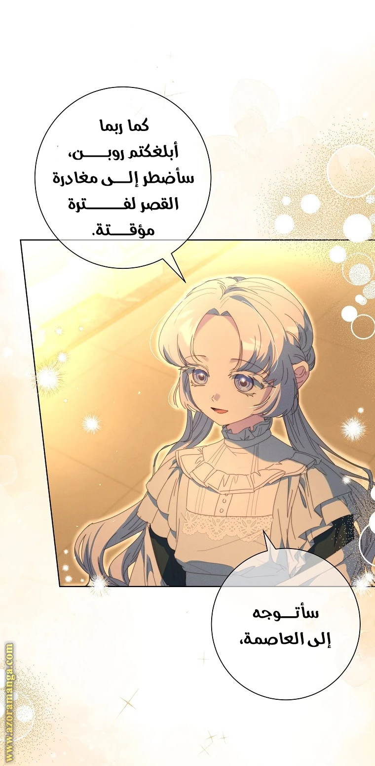 الصفحة 45