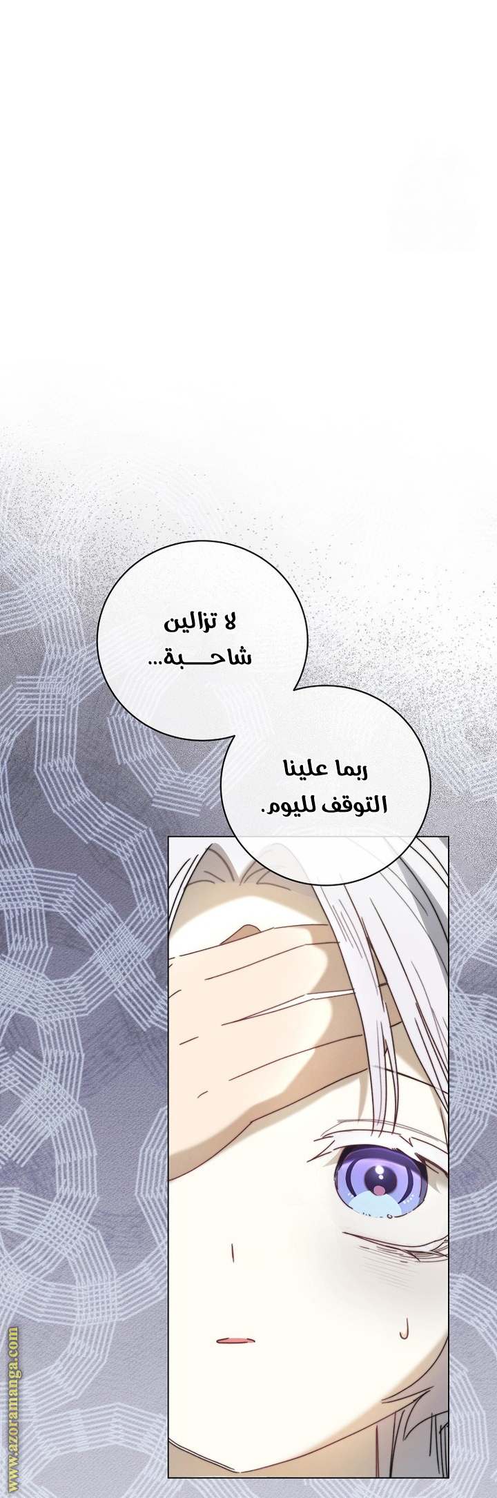 الصفحة 28