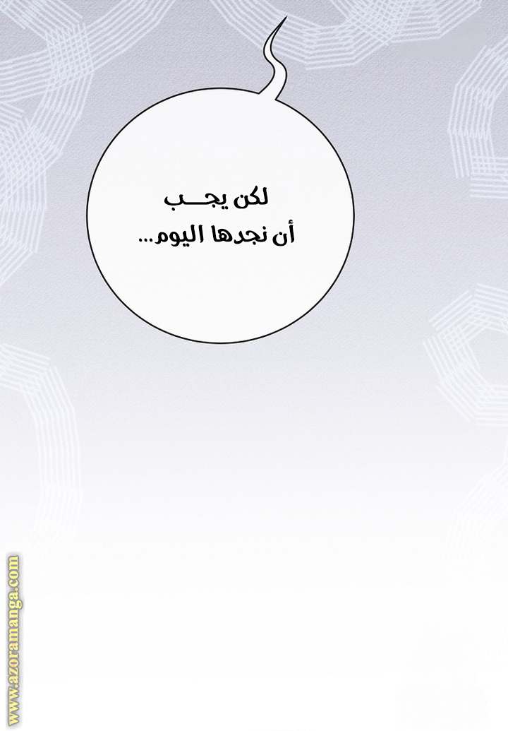 الصفحة 29
