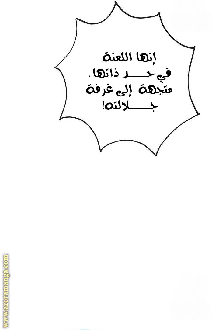 الصفحة 52