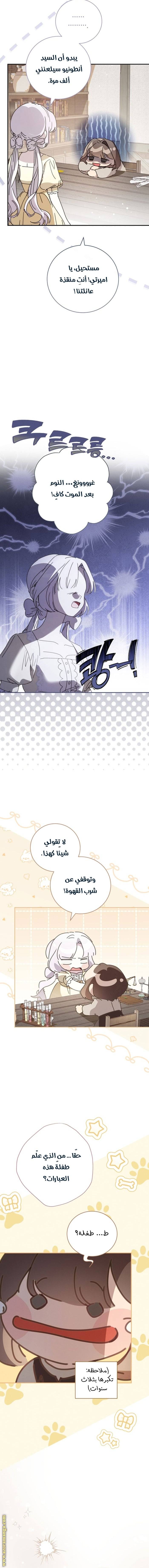 الصفحة 14