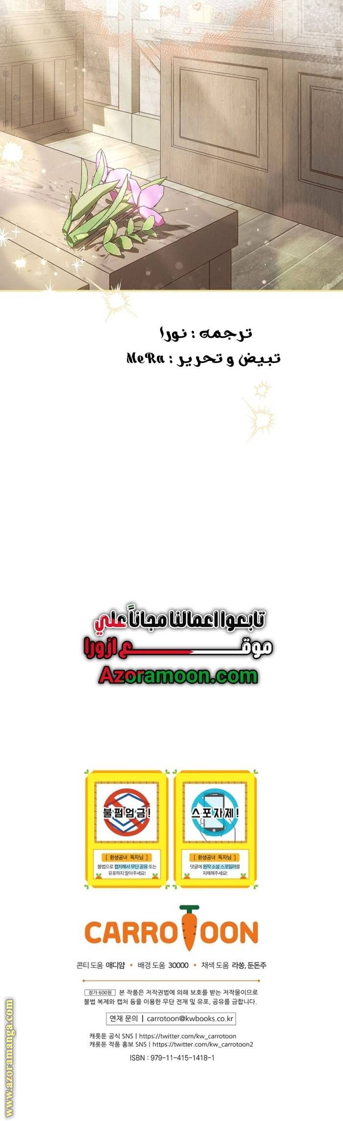 الصفحة 17
