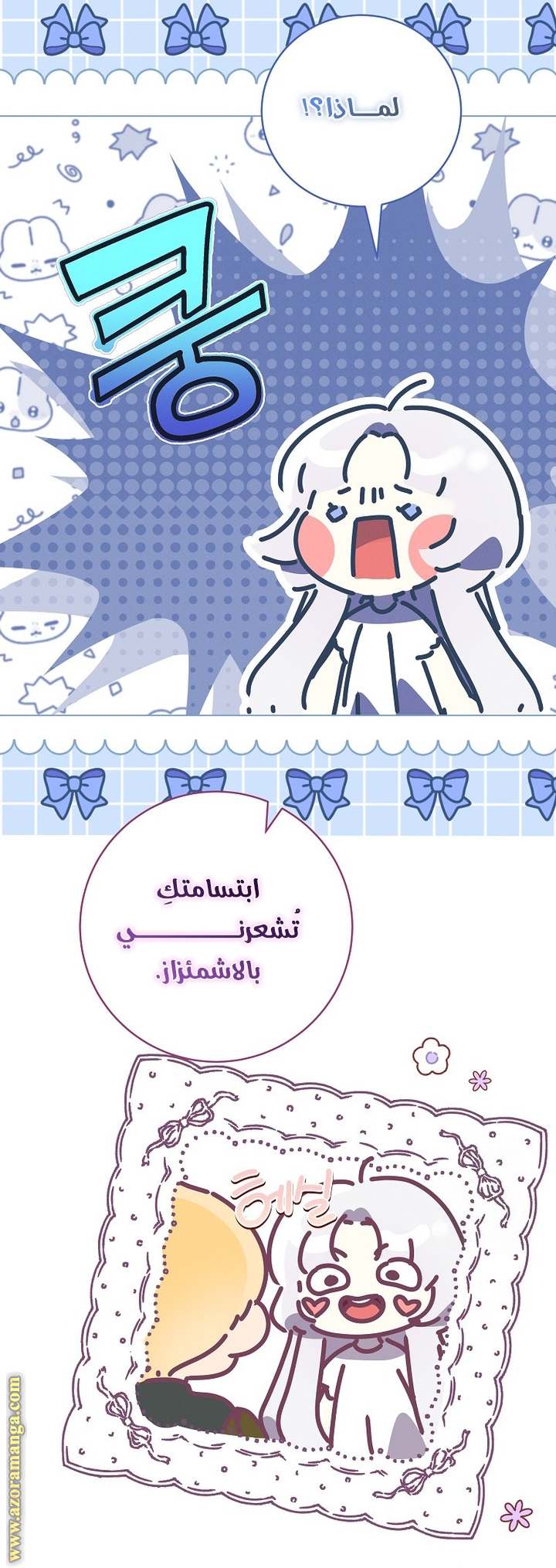 الصفحة 17