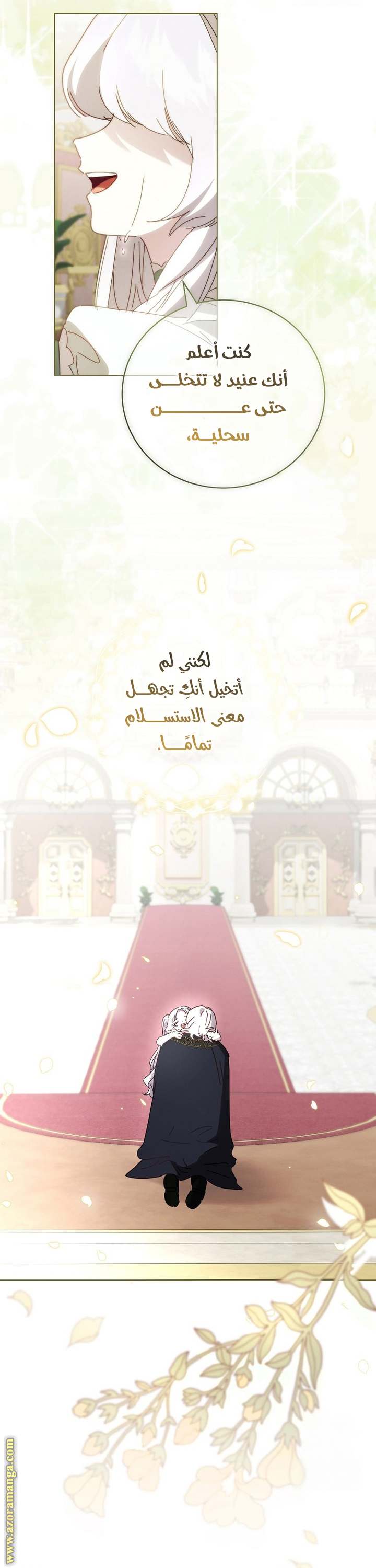 الصفحة 43