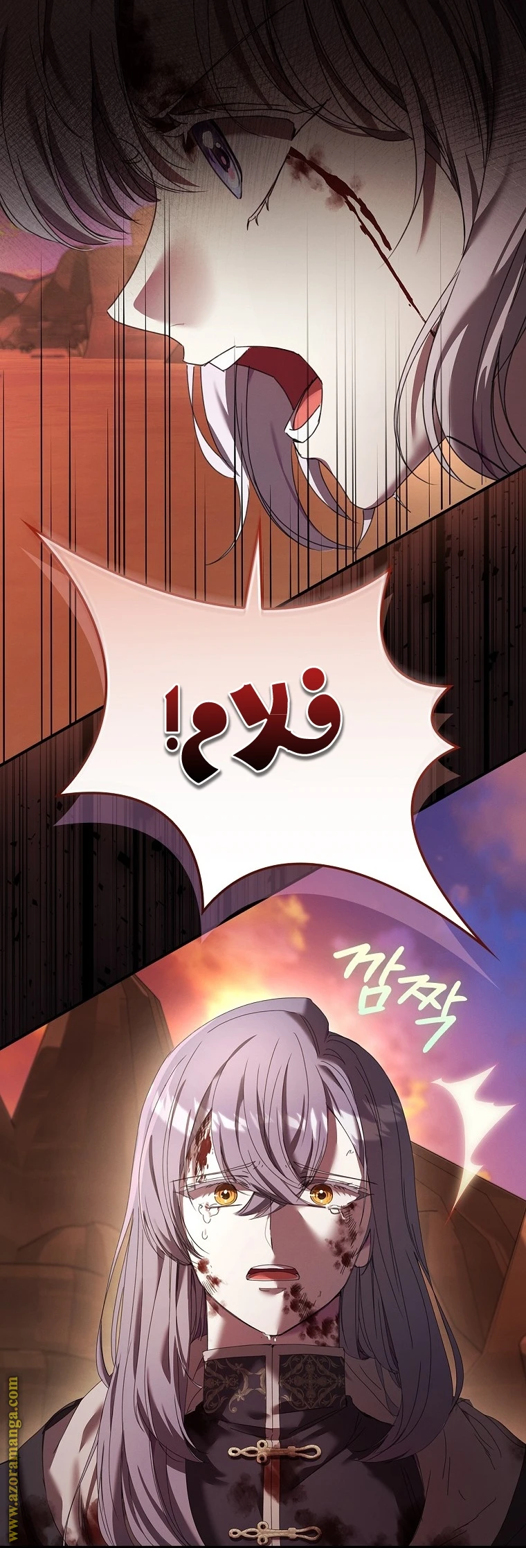 الصفحة 17