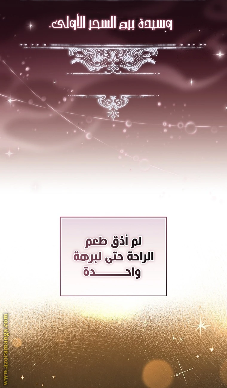 الصفحة 29