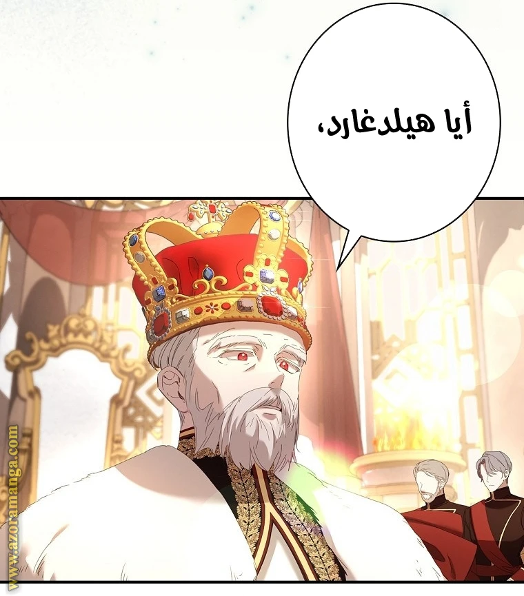 الصفحة 41