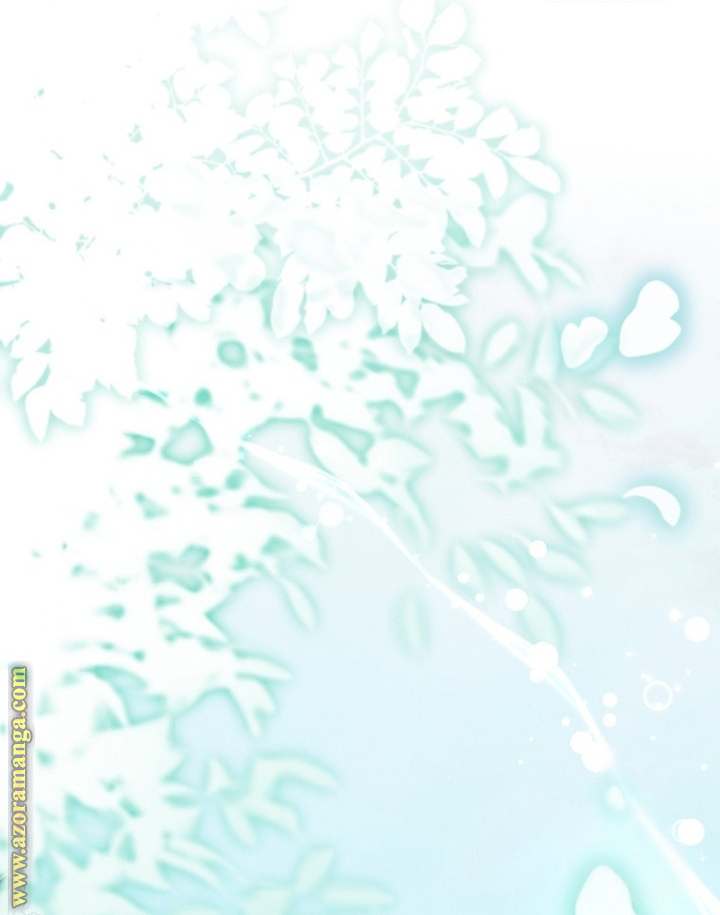 الصفحة 29