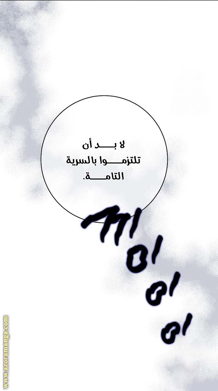 الصفحة 43