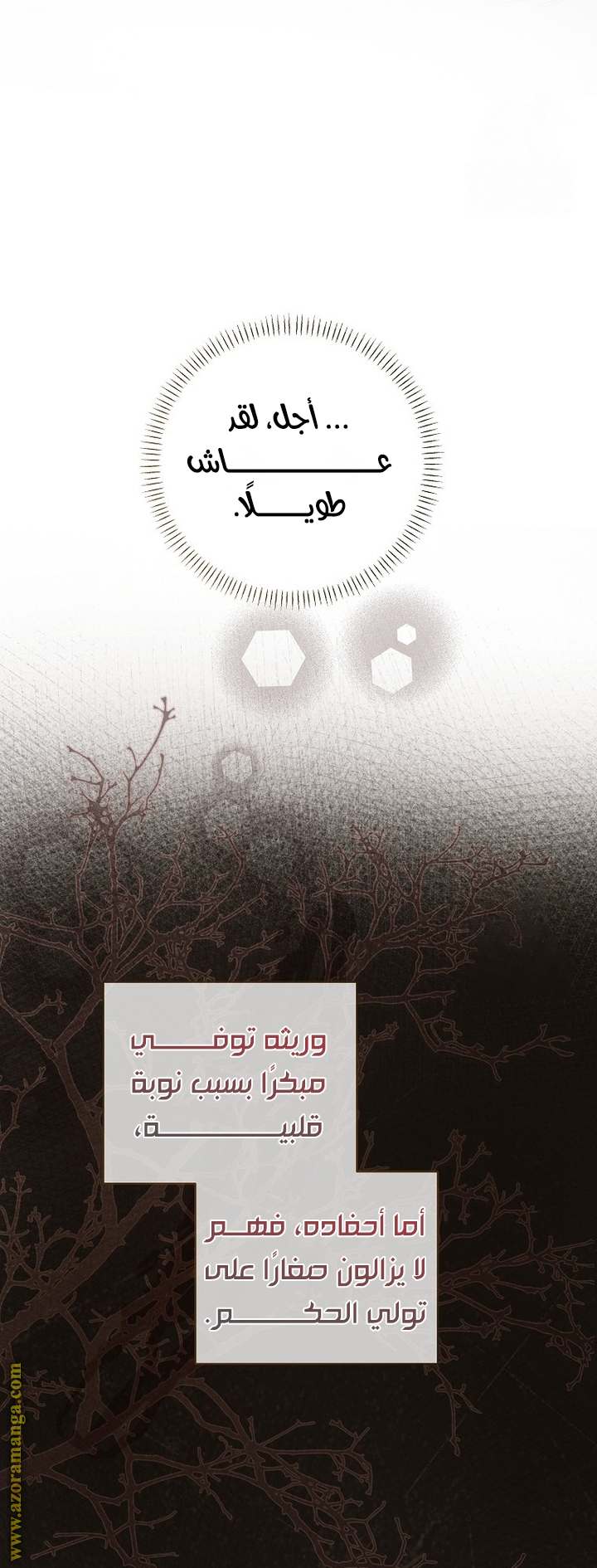 الصفحة 13