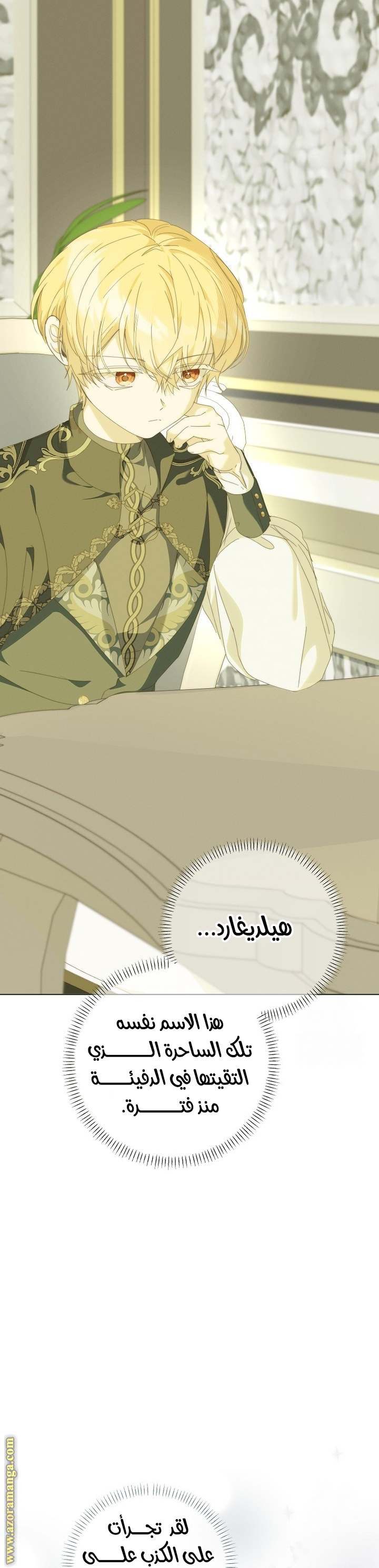 الصفحة 29