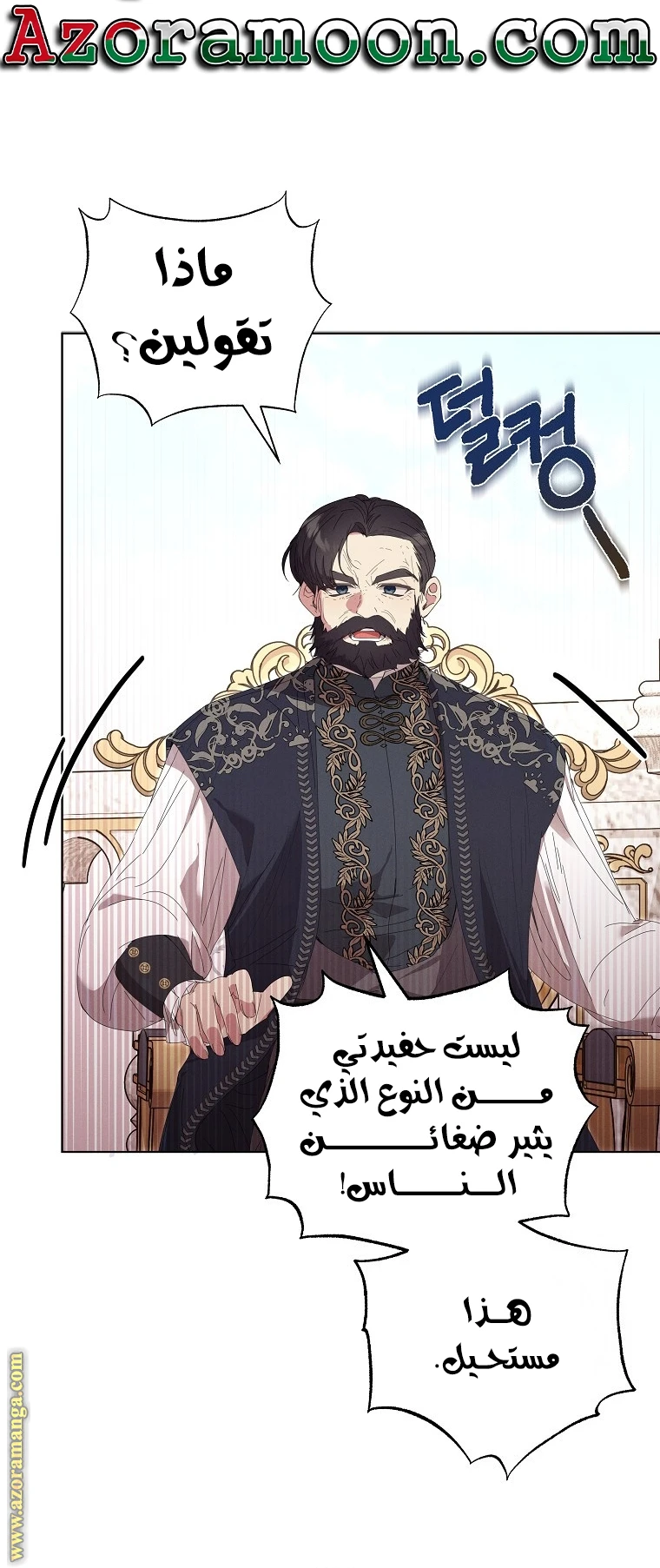 الصفحة 17