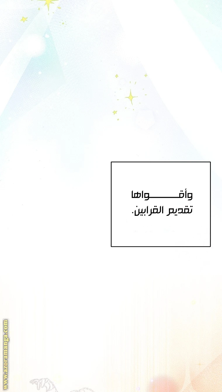 الصفحة 27