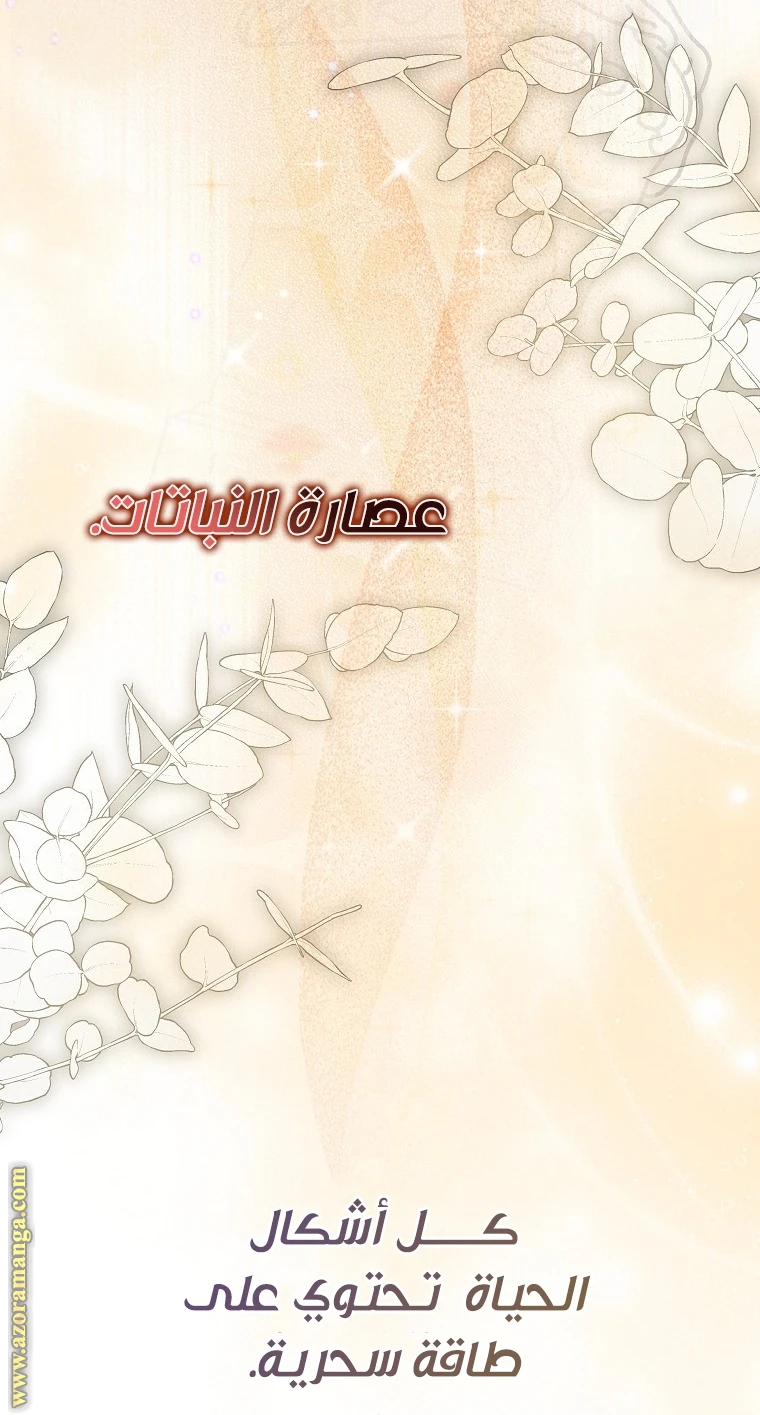الصفحة 29