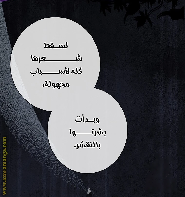 الصفحة 35