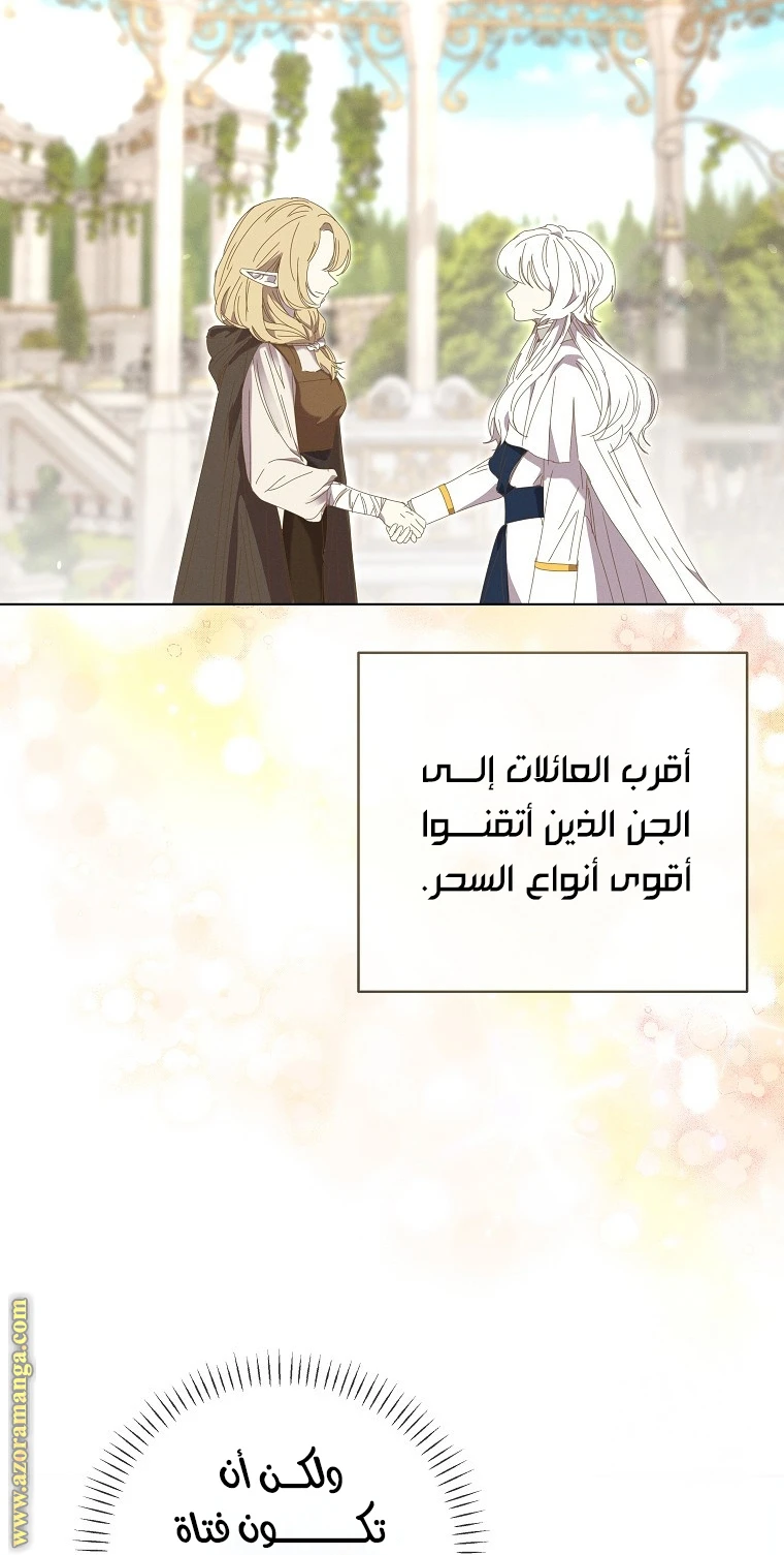 الصفحة 48