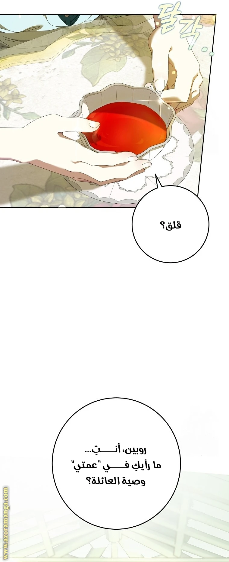 الصفحة 13