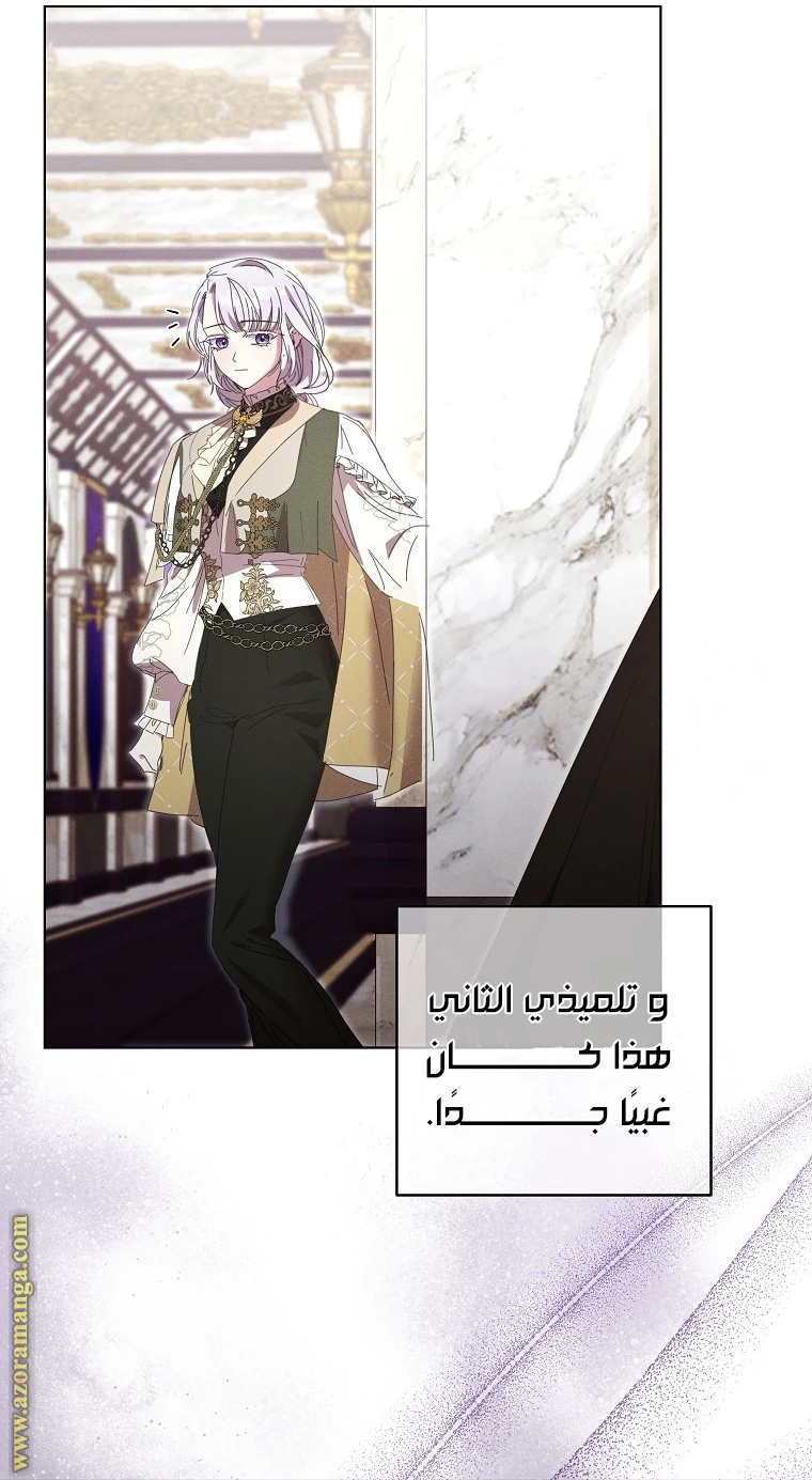 الصفحة 29