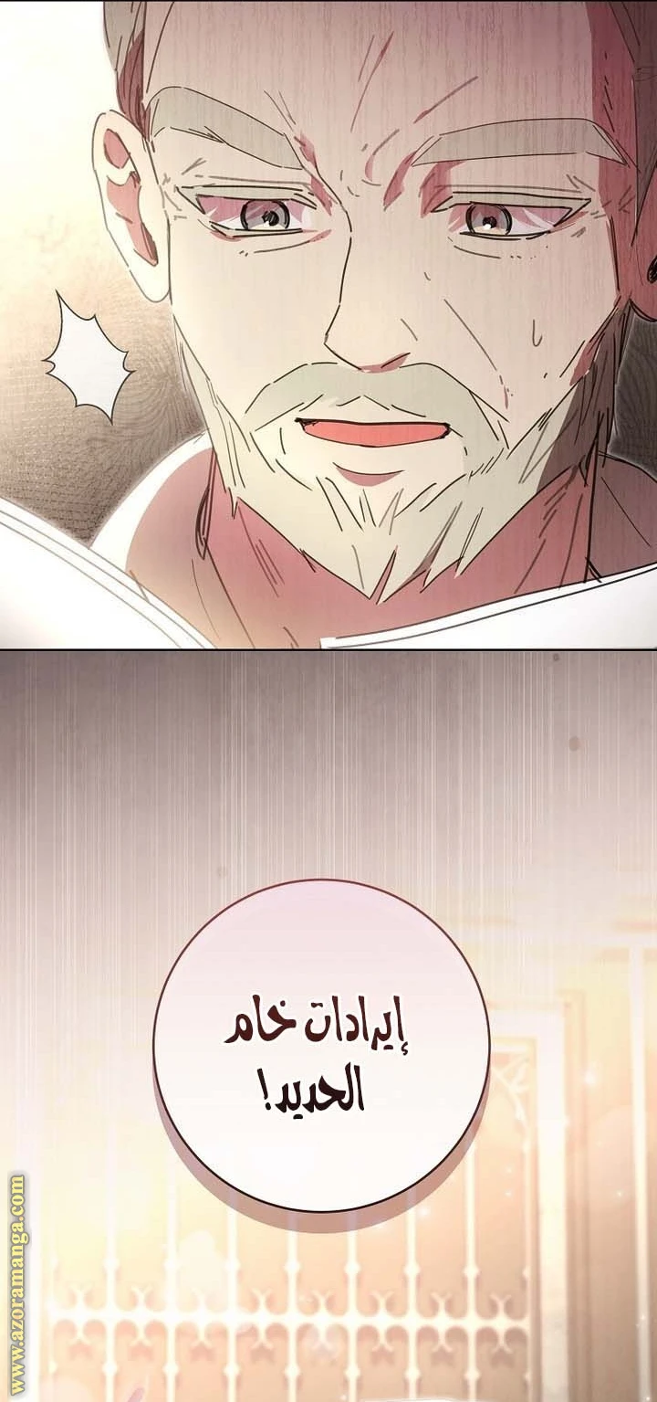 الصفحة 41
