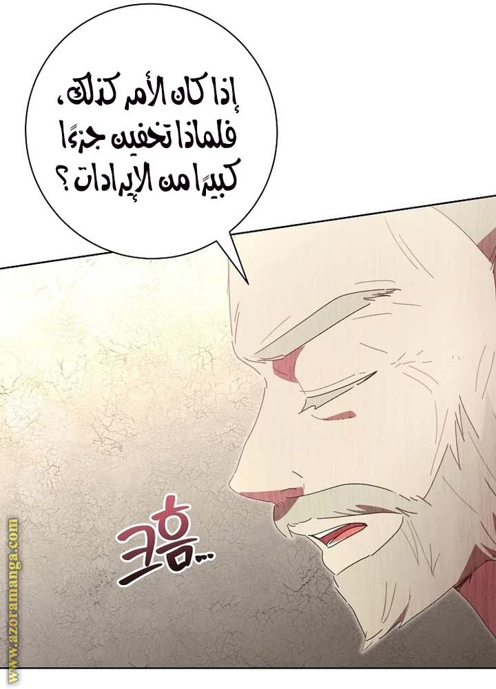 الصفحة 48