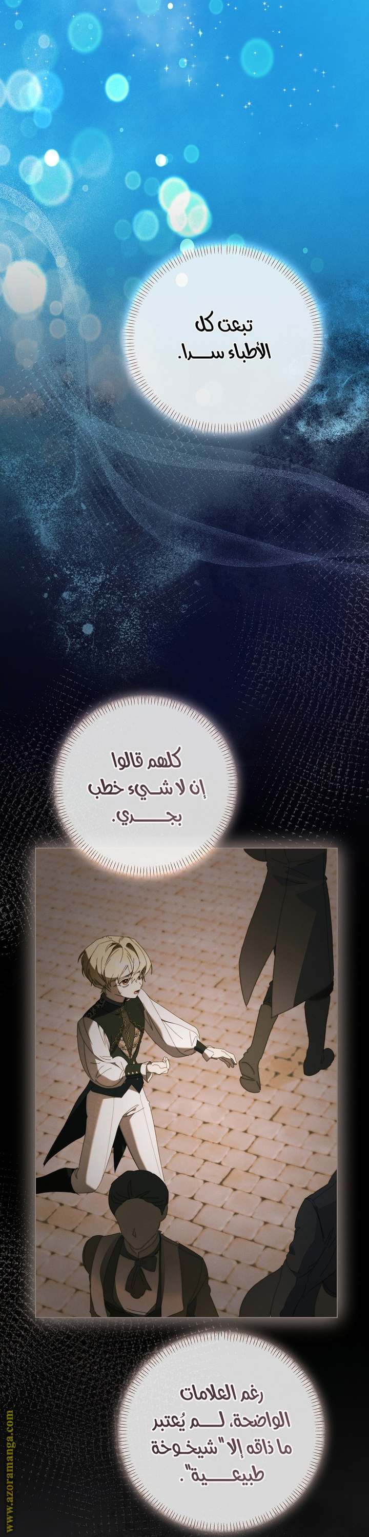 الصفحة 29