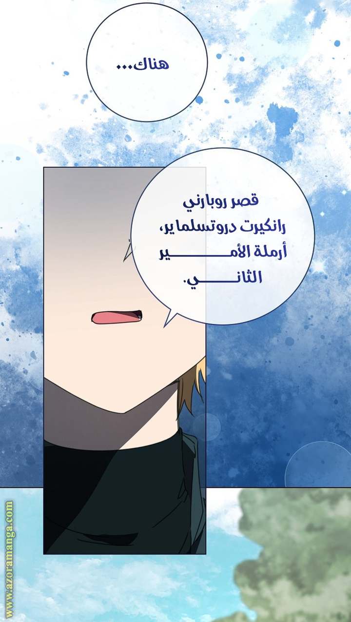 الصفحة 64