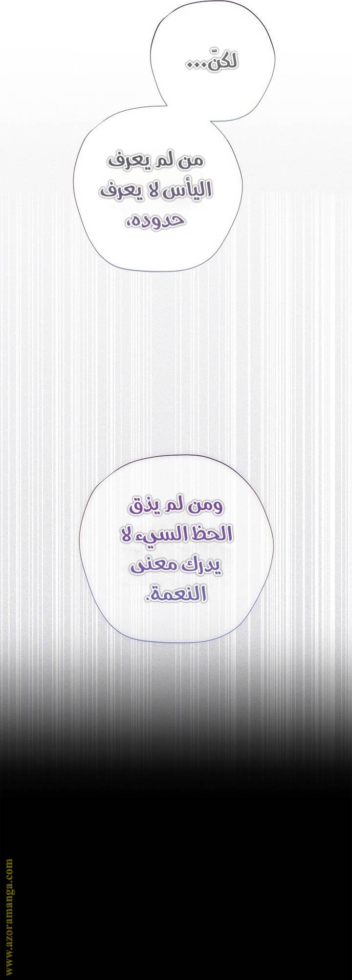 الصفحة 25