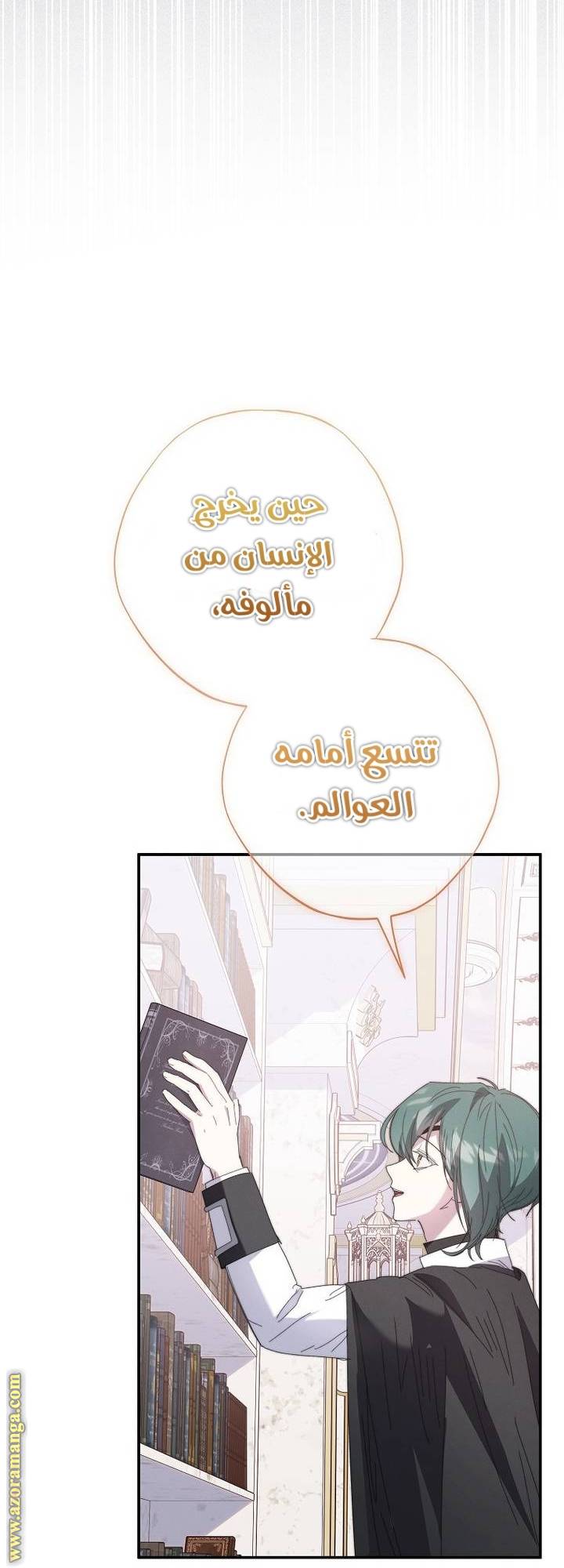 الصفحة 31