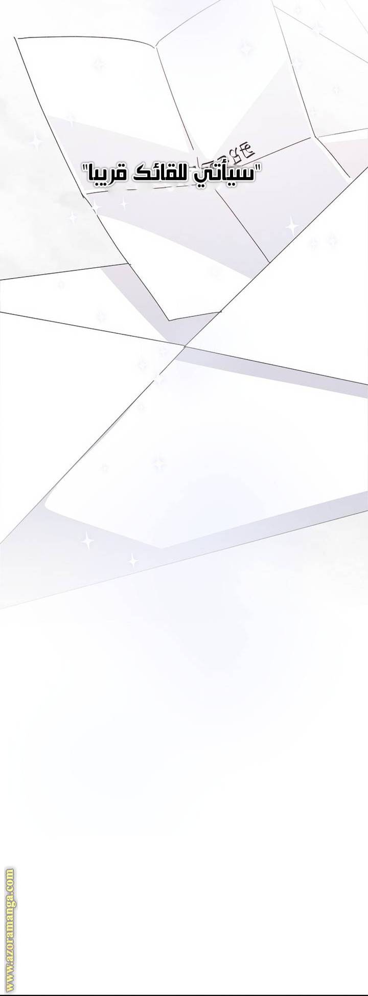 الصفحة 41