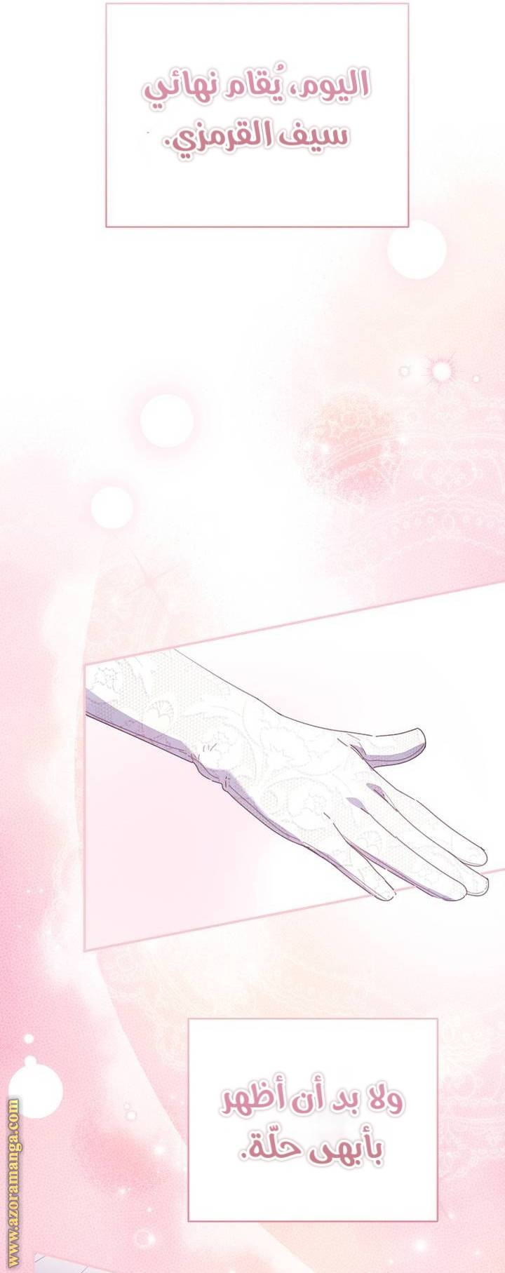 الصفحة 48