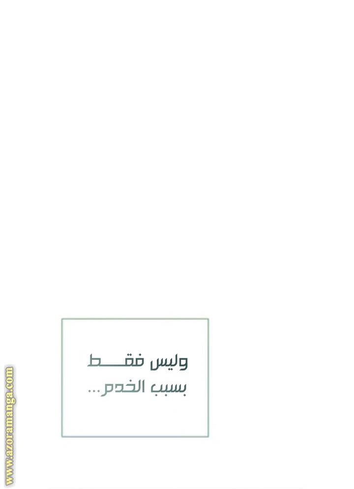 الصفحة 26