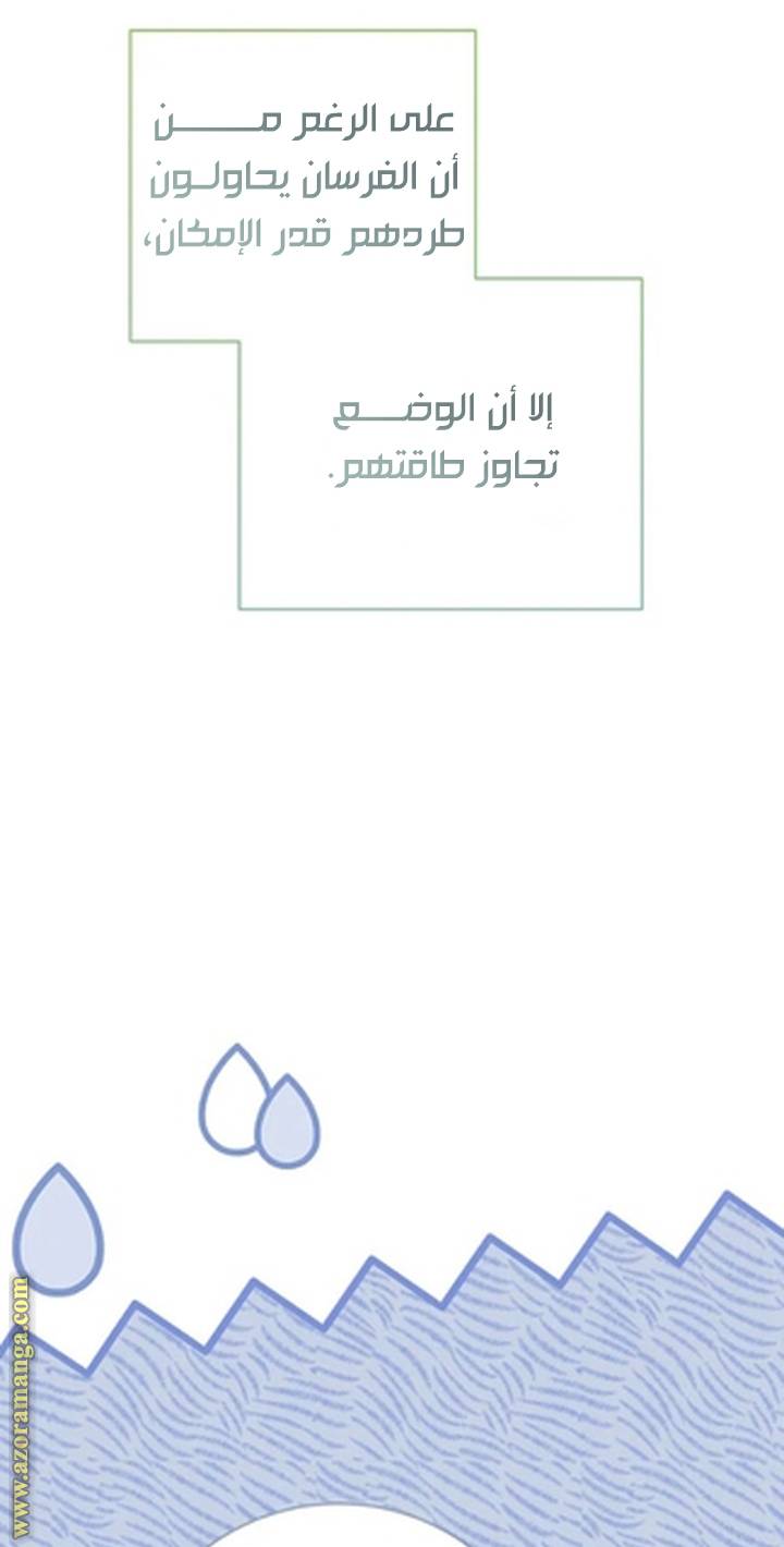 الصفحة 29