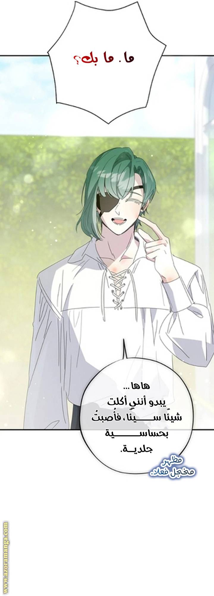 الصفحة 40