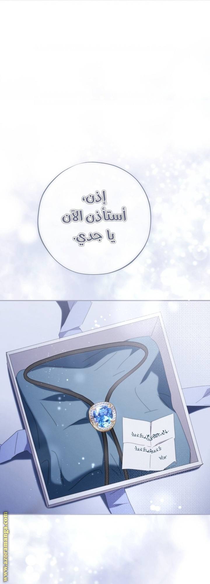 الصفحة 13
