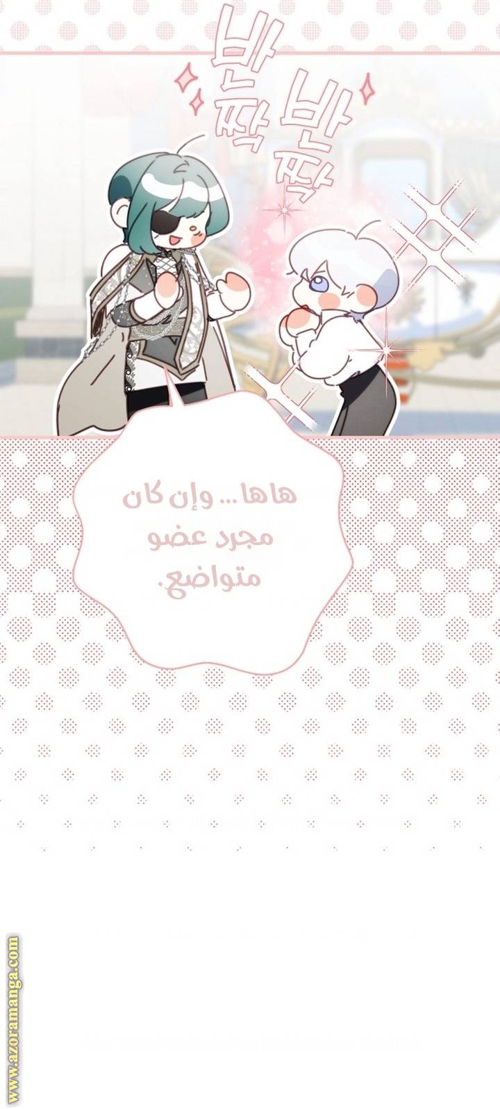 الصفحة 26