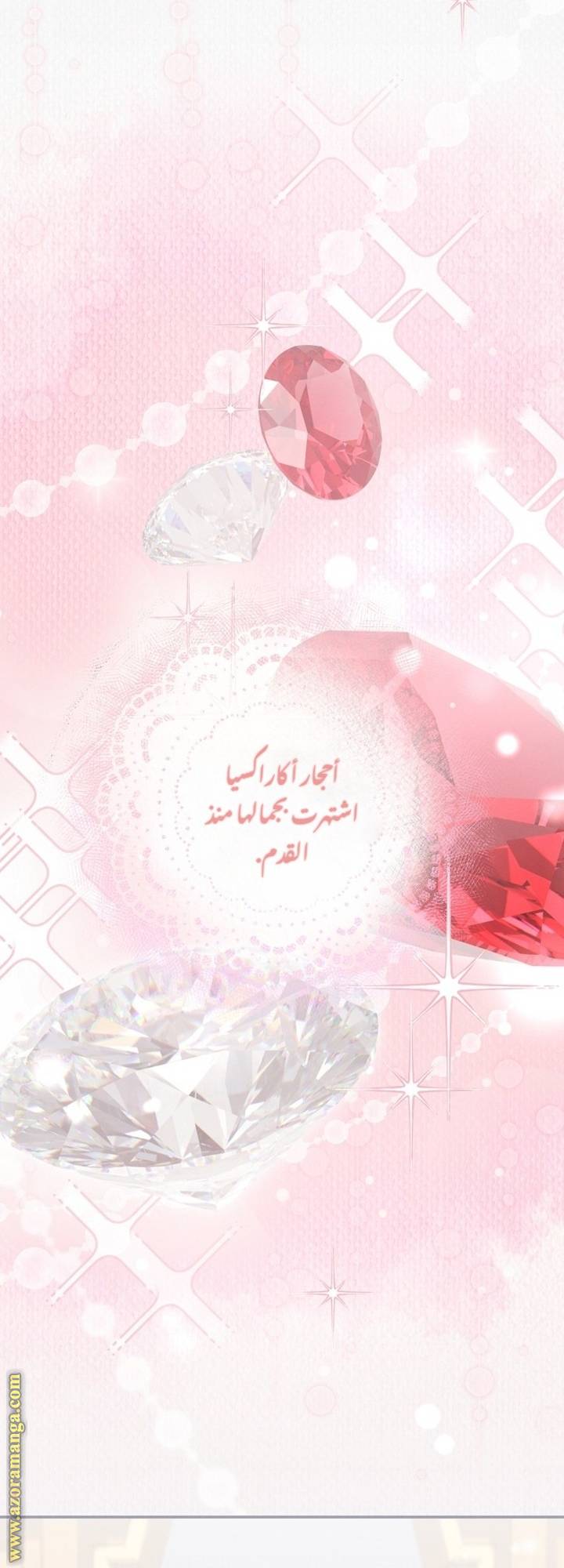 الصفحة 51