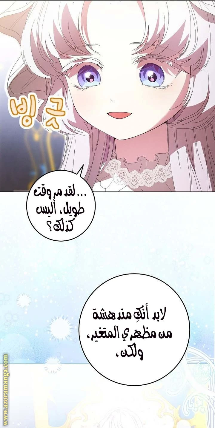 الصفحة 42