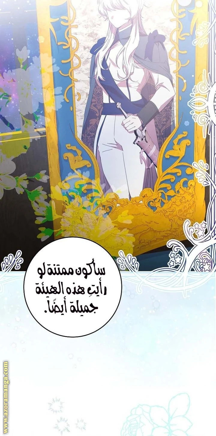 الصفحة 43